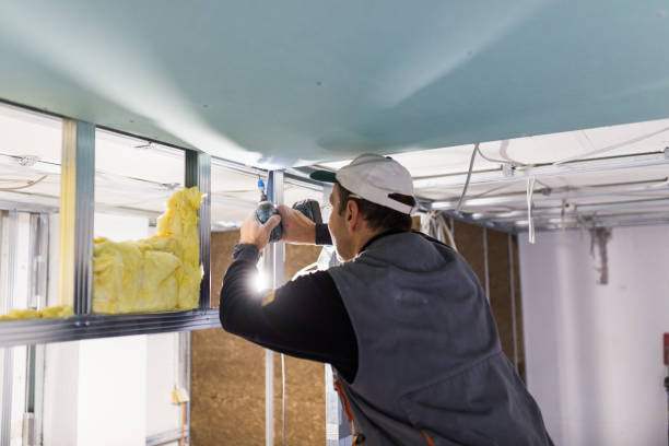 Best Garage Insulation Installation  in Fruitport, MI
